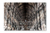 TRINITY LIBRARY