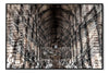 TRINITY LIBRARY