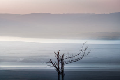 DEAD SEA