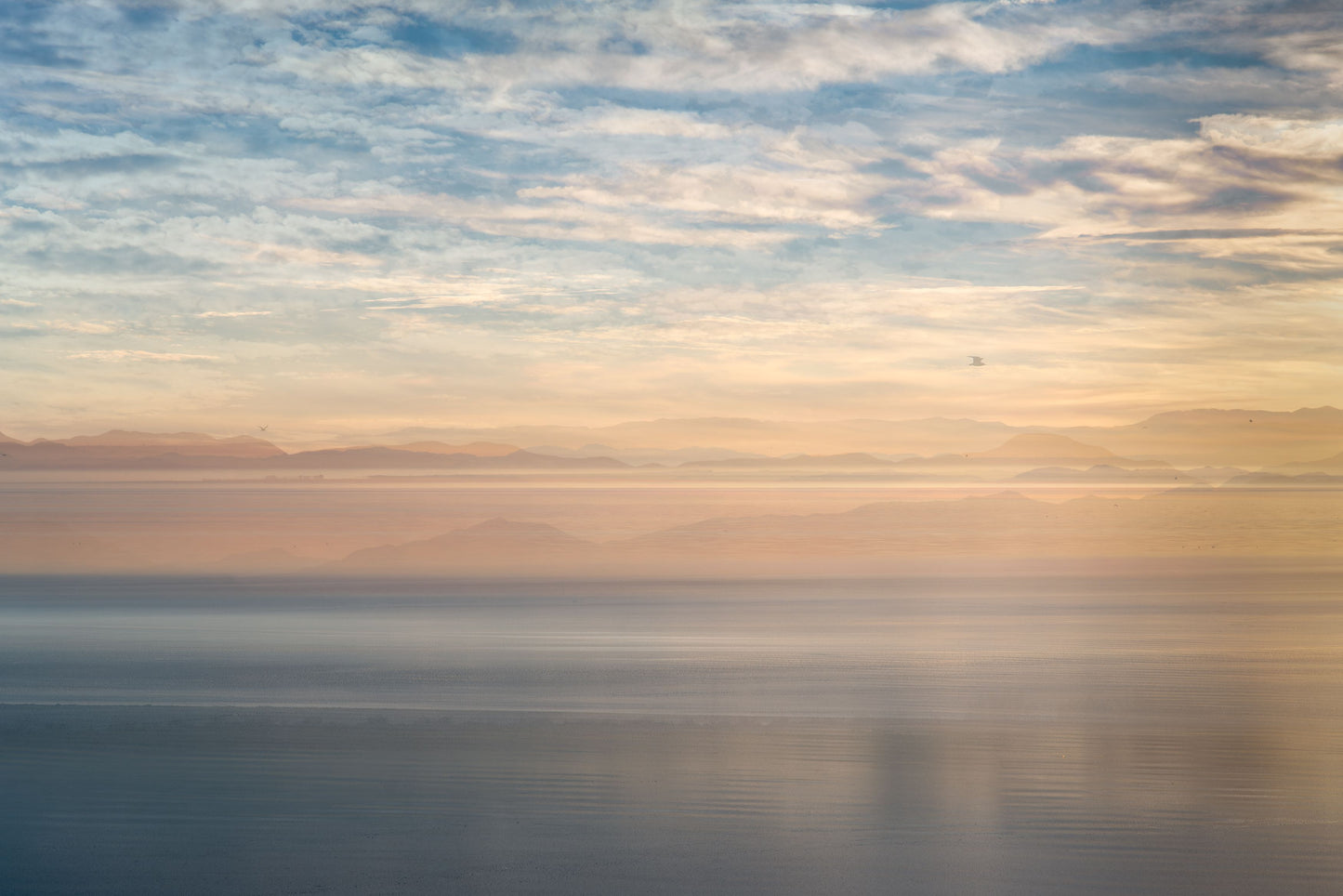 PINK SALTON SEA