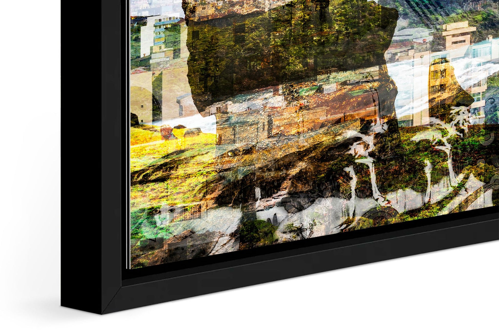 Chilean Poem photograph under acrylic glass with black floater frame, close up detail