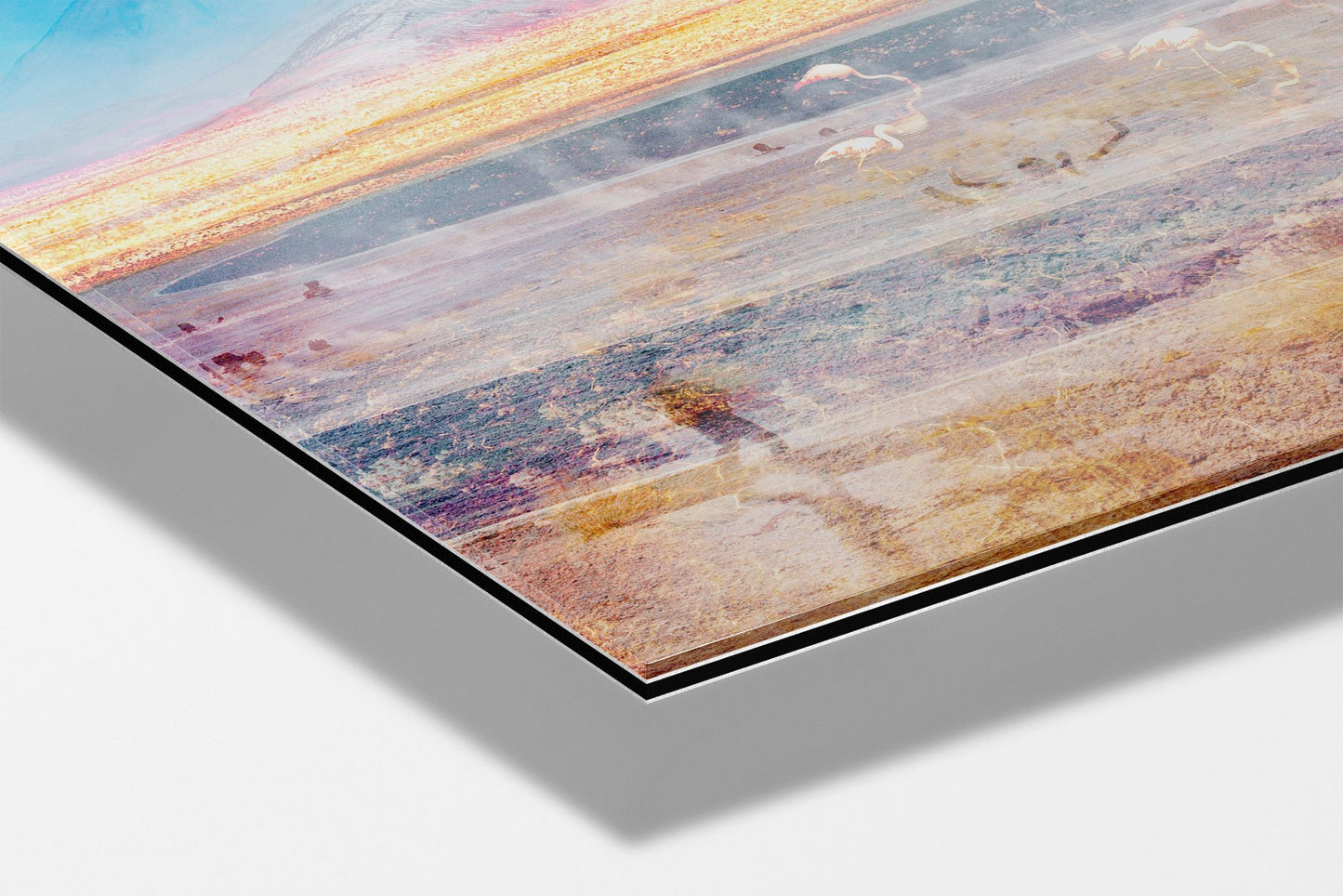 Pink Atacama photograph mounted on Aluminum Dibond under acrylic glass, close detail