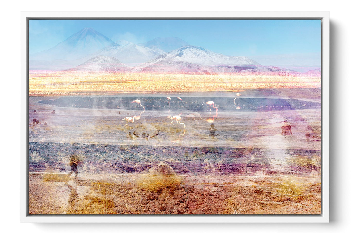 Pink Atacama flamingo photograph under acrylic glass with white floater frame, 16 by 24 inch artwork