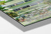 The Pelican photograph mounted on aluminum dibond under acrylic glass, close detail