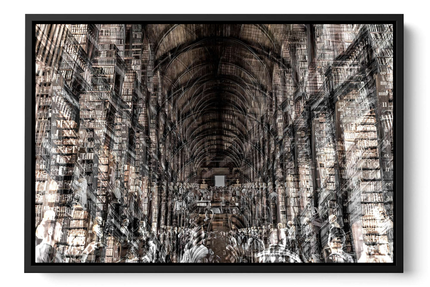 Trinity Library Trinity College Dublin photograph under acrylic glass with black floater frame, 16 by 24 inch artwork