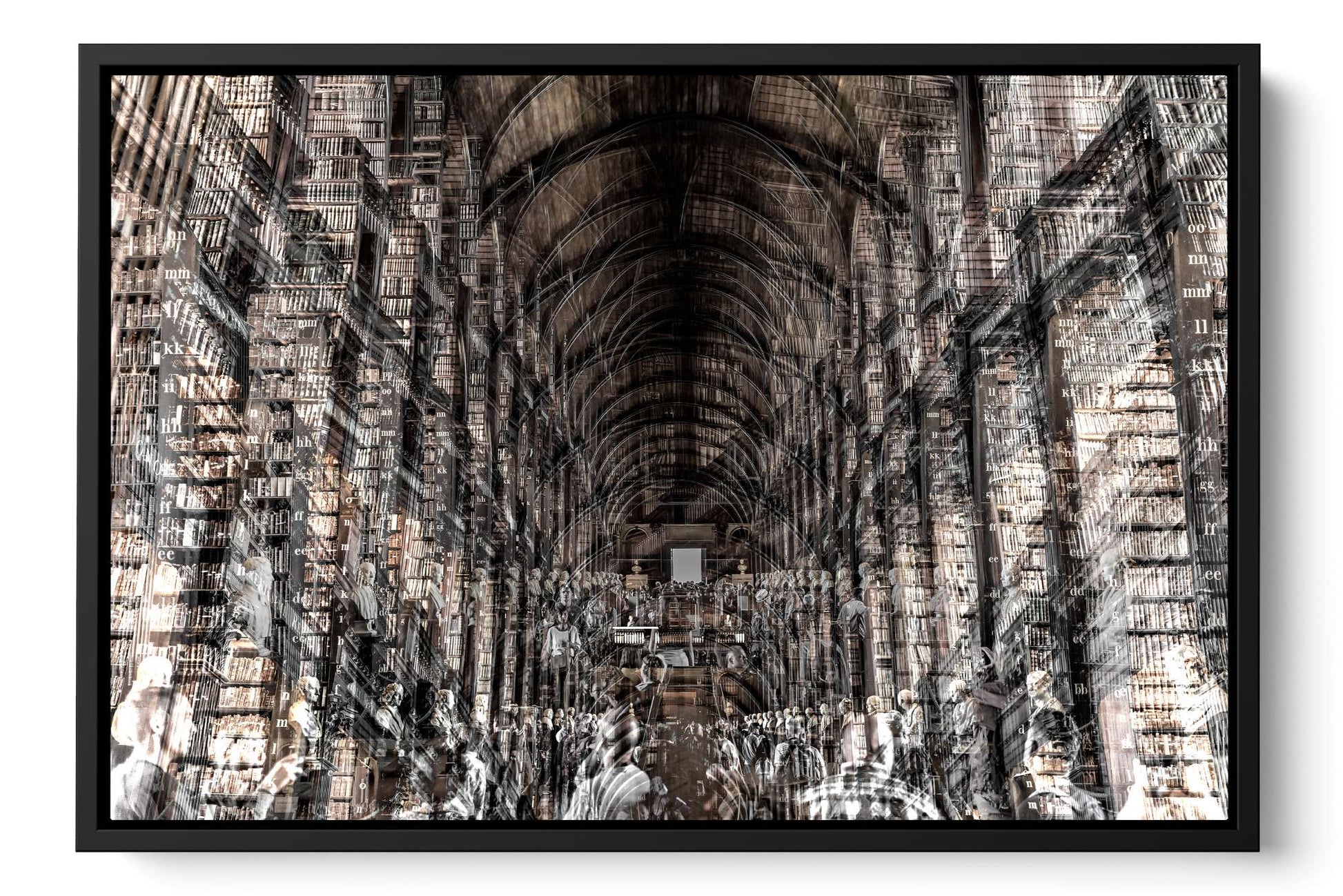Trinity Library Trinity College Dublin photograph under acrylic glass with black floater frame, 16 by 24 inch artwork