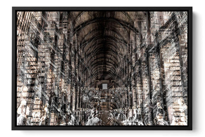 Trinity Library Trinity College Dublin photograph under acrylic glass with black floater frame, 16 by 24 inch artwork