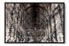 Trinity Library Dublin photograph under acrylic glass with black floater frame, 24 by 36 inch artwork