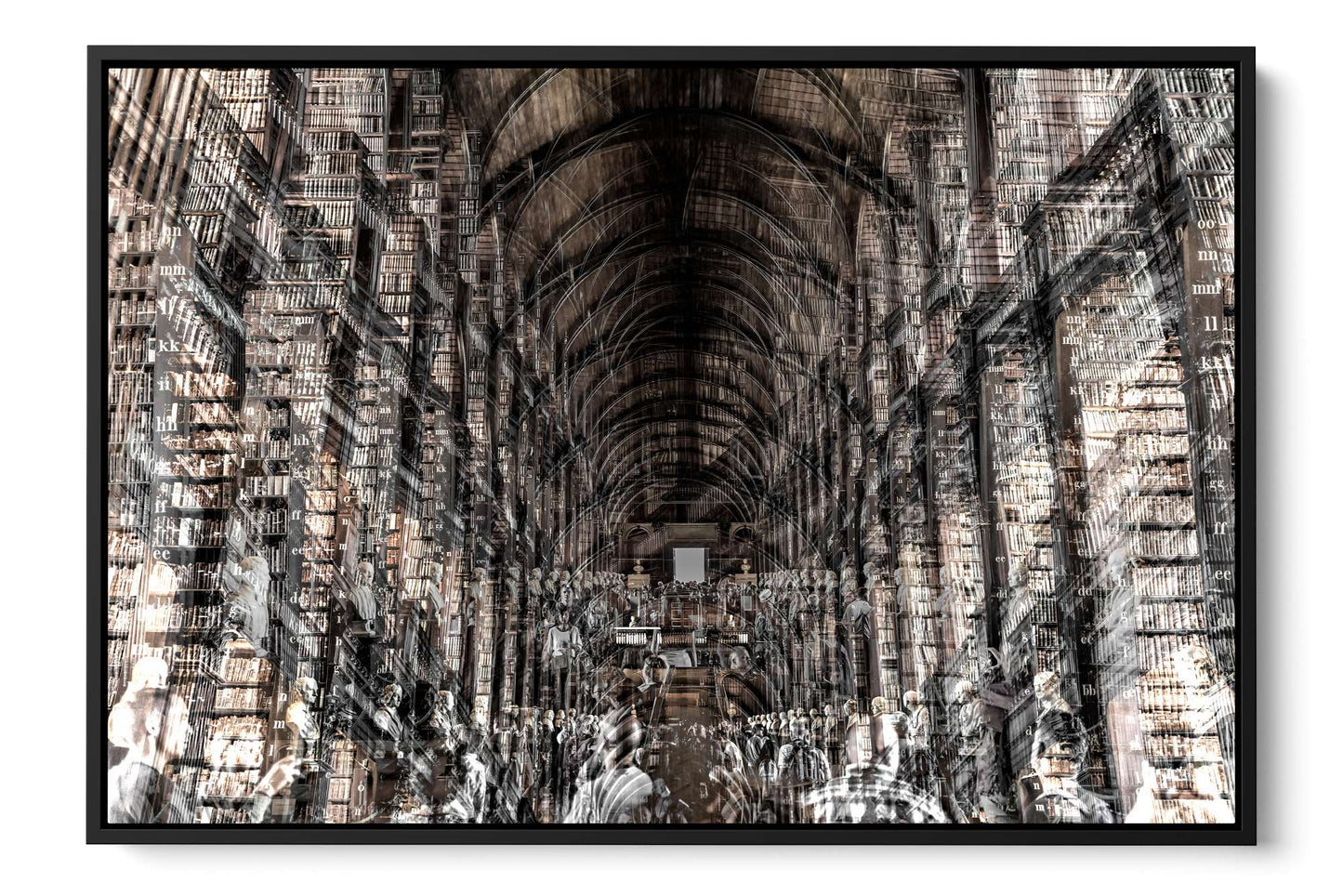 Trinity Library Dublin photograph under acrylic glass with black floater frame, 24 by 36 inch artwork