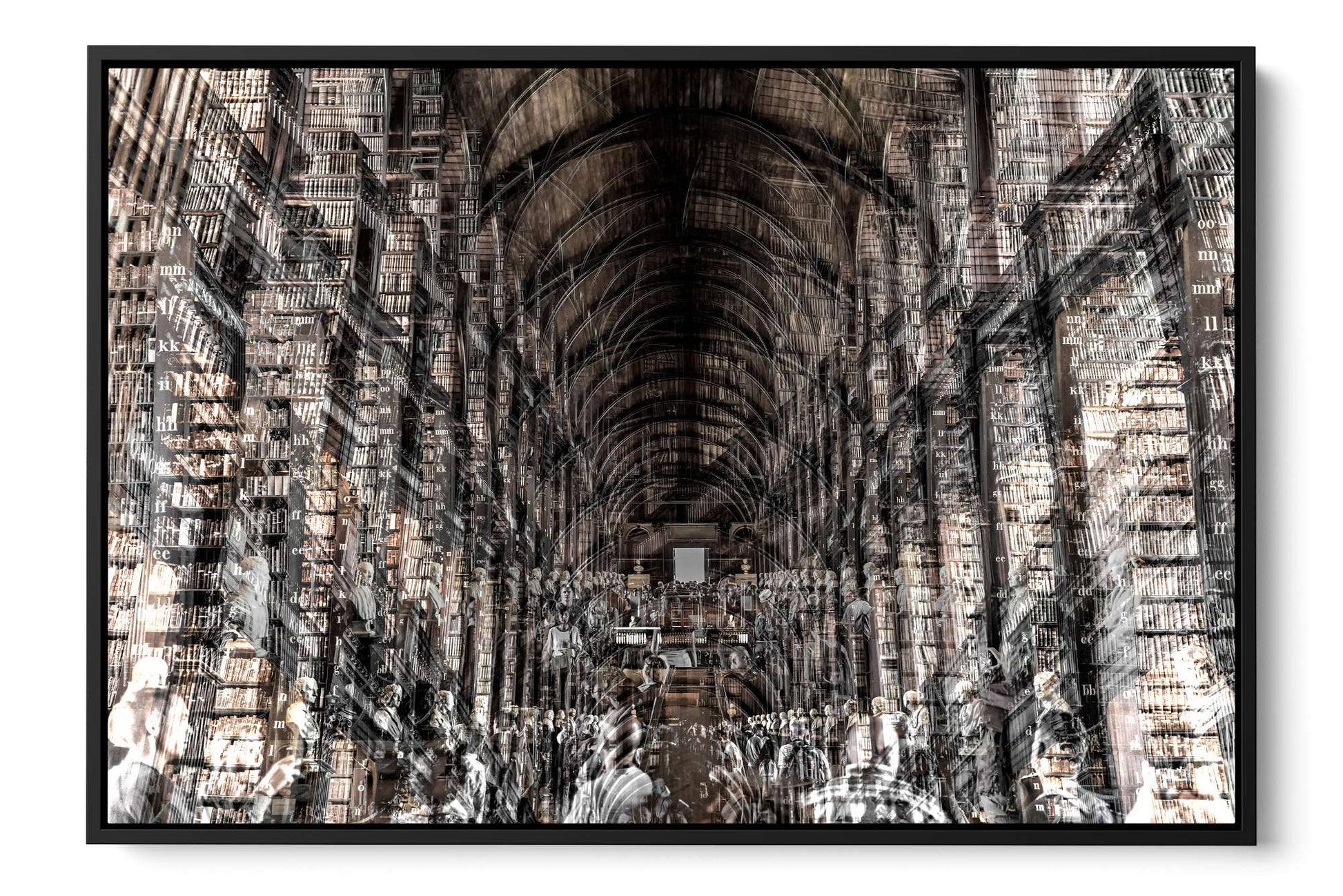 Trinity Library Dublin photograph under acrylic glass with black floater frame, 24 by 36 inch artwork