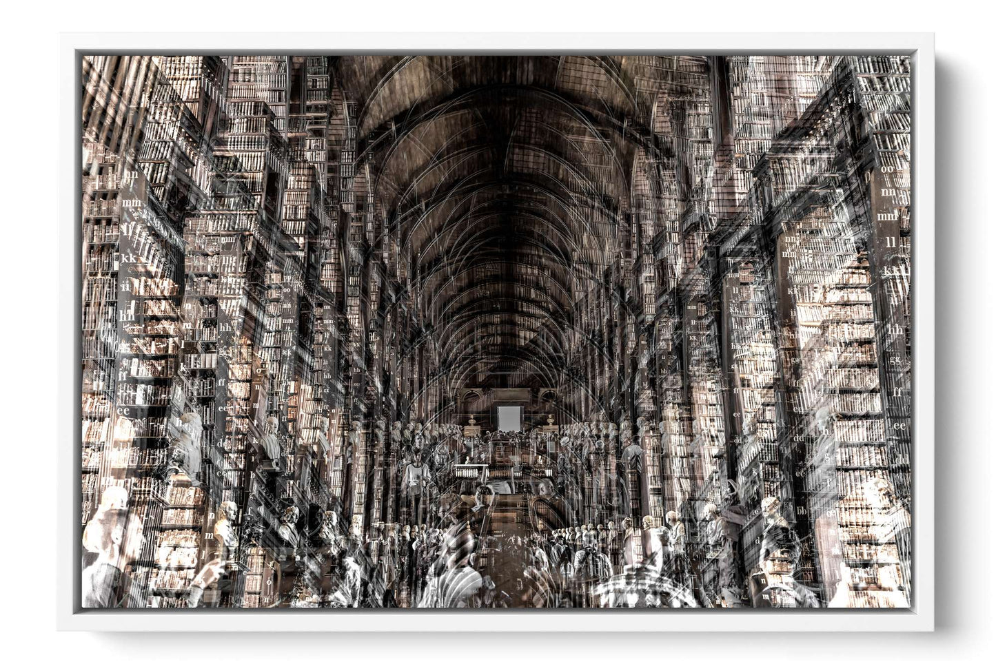 Trinity Library Trinity College Dublin photograph under acrylic glass with white floater frame, 16 by 24 inch artwork