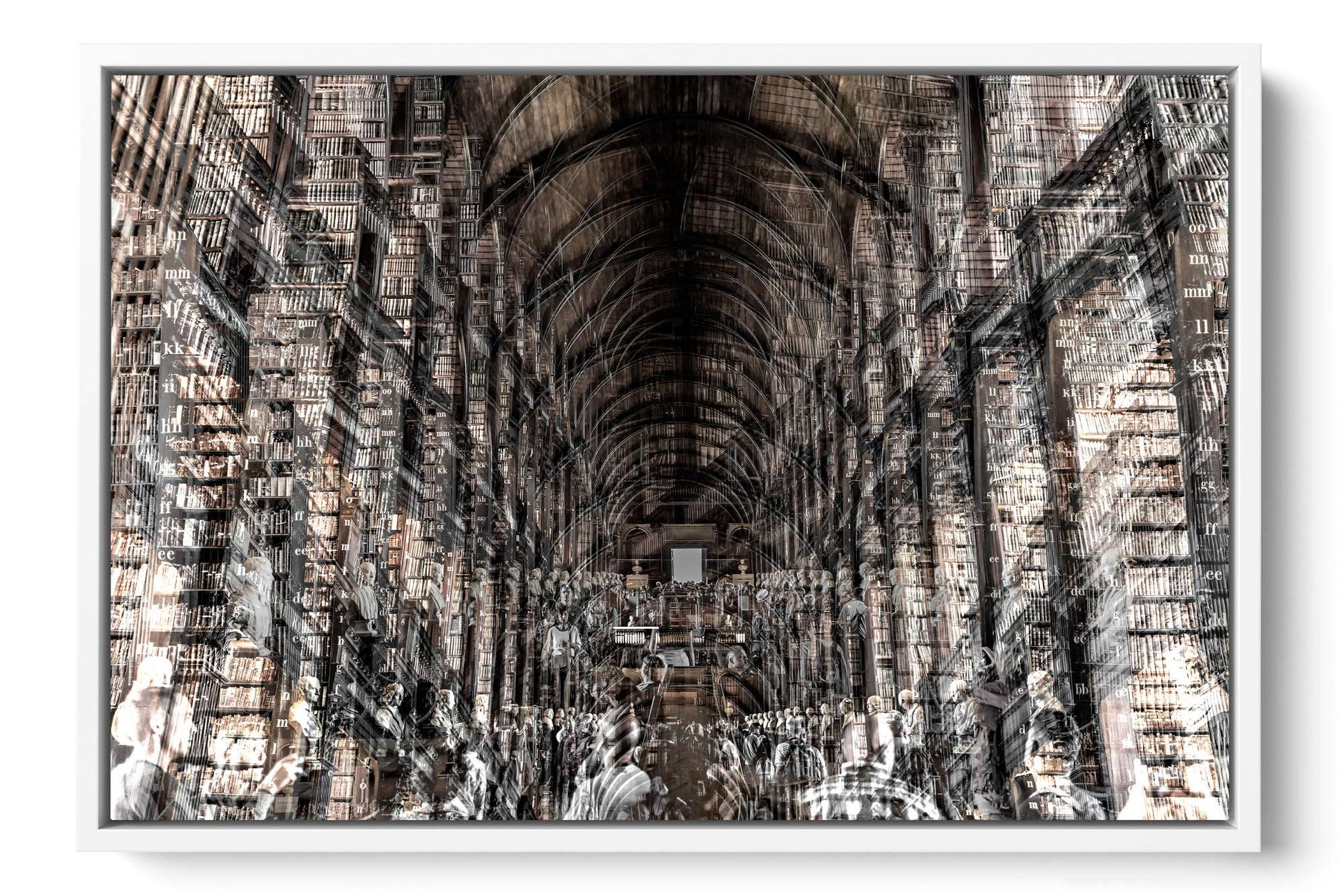 Trinity Library Trinity College Dublin photograph under acrylic glass with white floater frame, 16 by 24 inch artwork