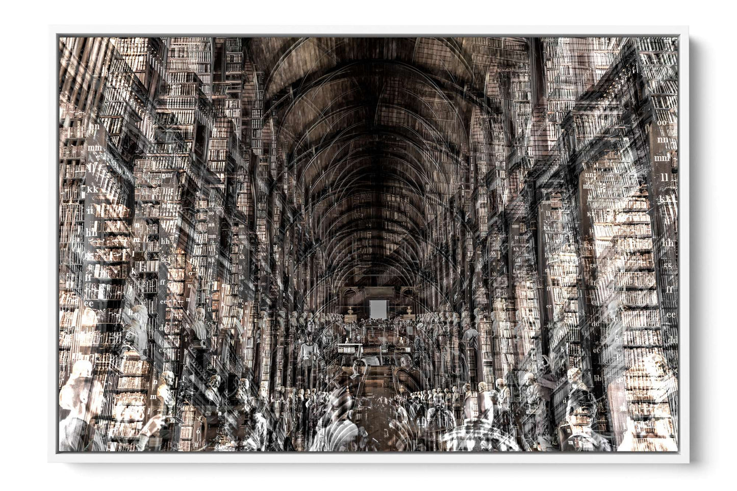 Trinity Library Dublin photograph under acrylic glass with white floater frame, 24 by 36 inch artwork